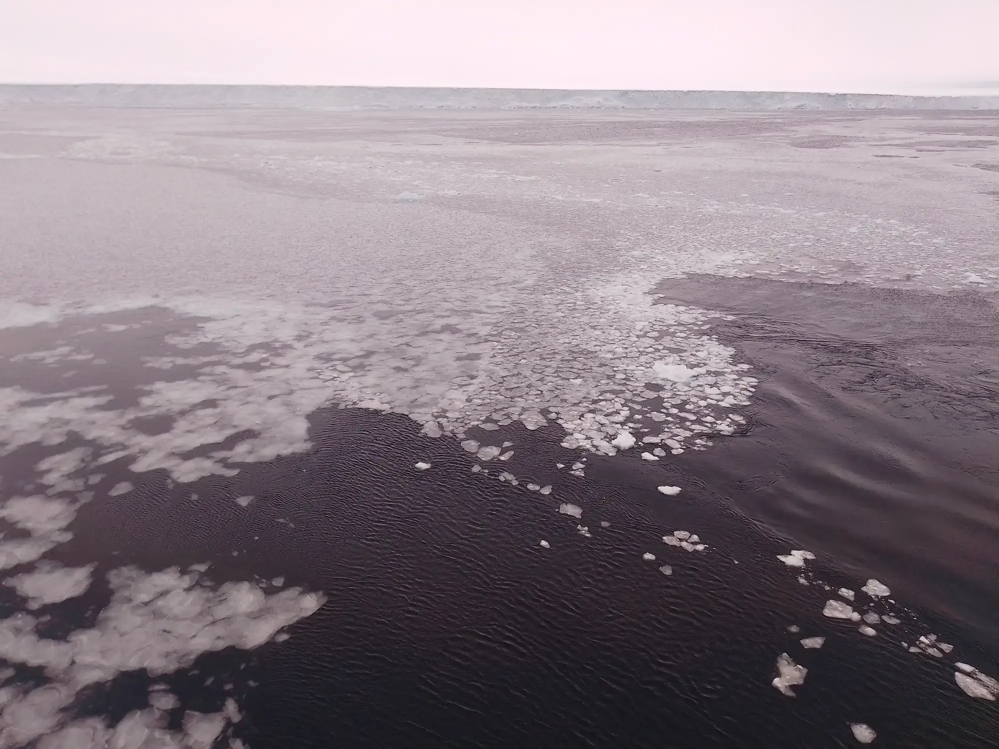 Antarktis