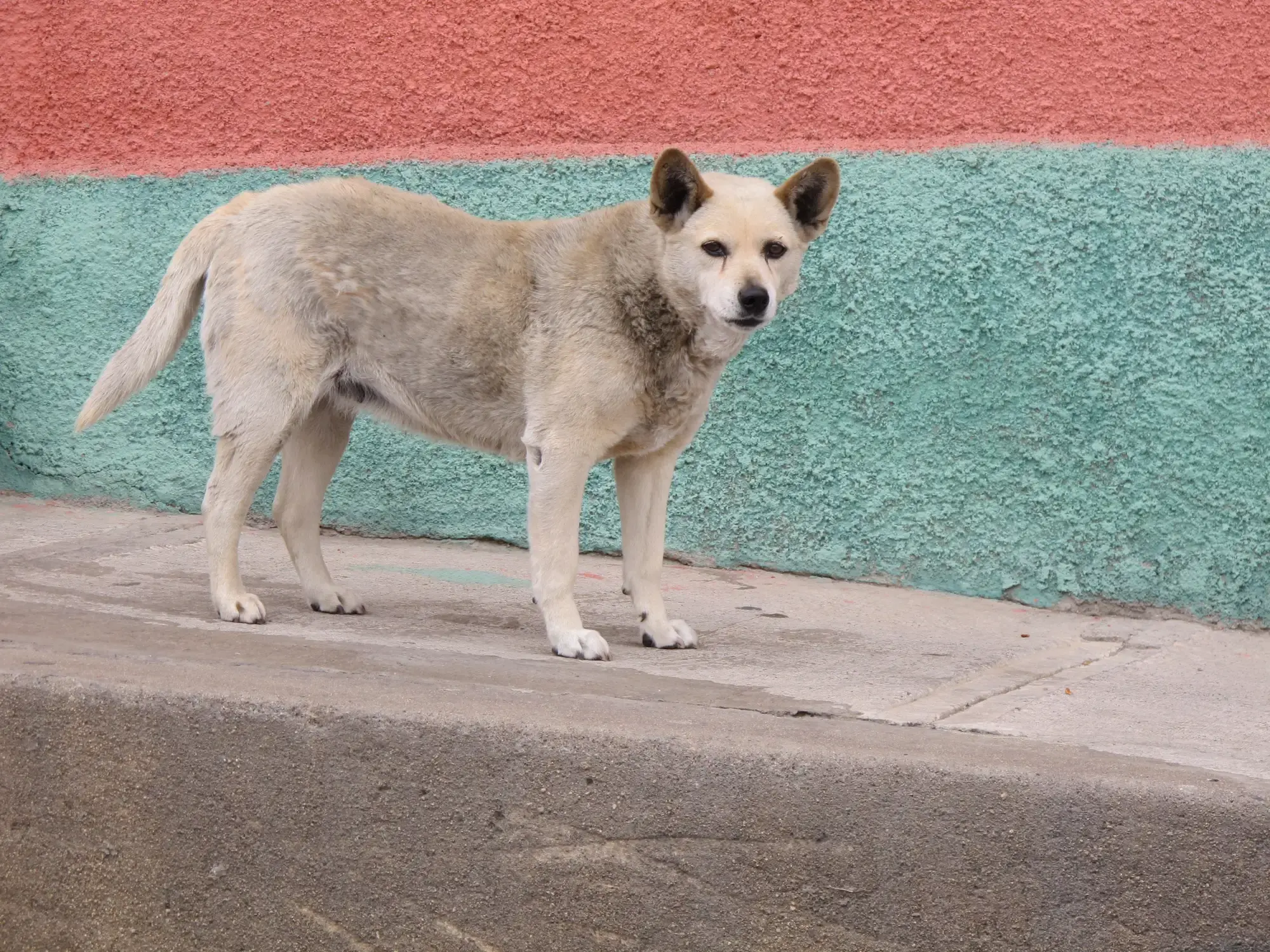 Chile