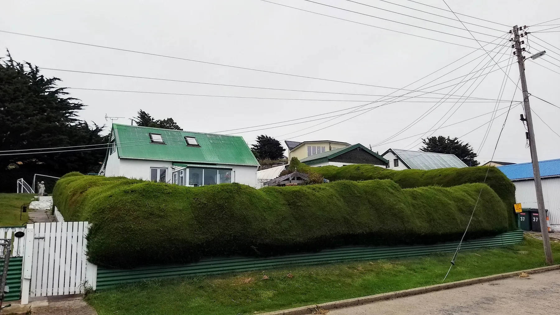 Falkland – Malvinas