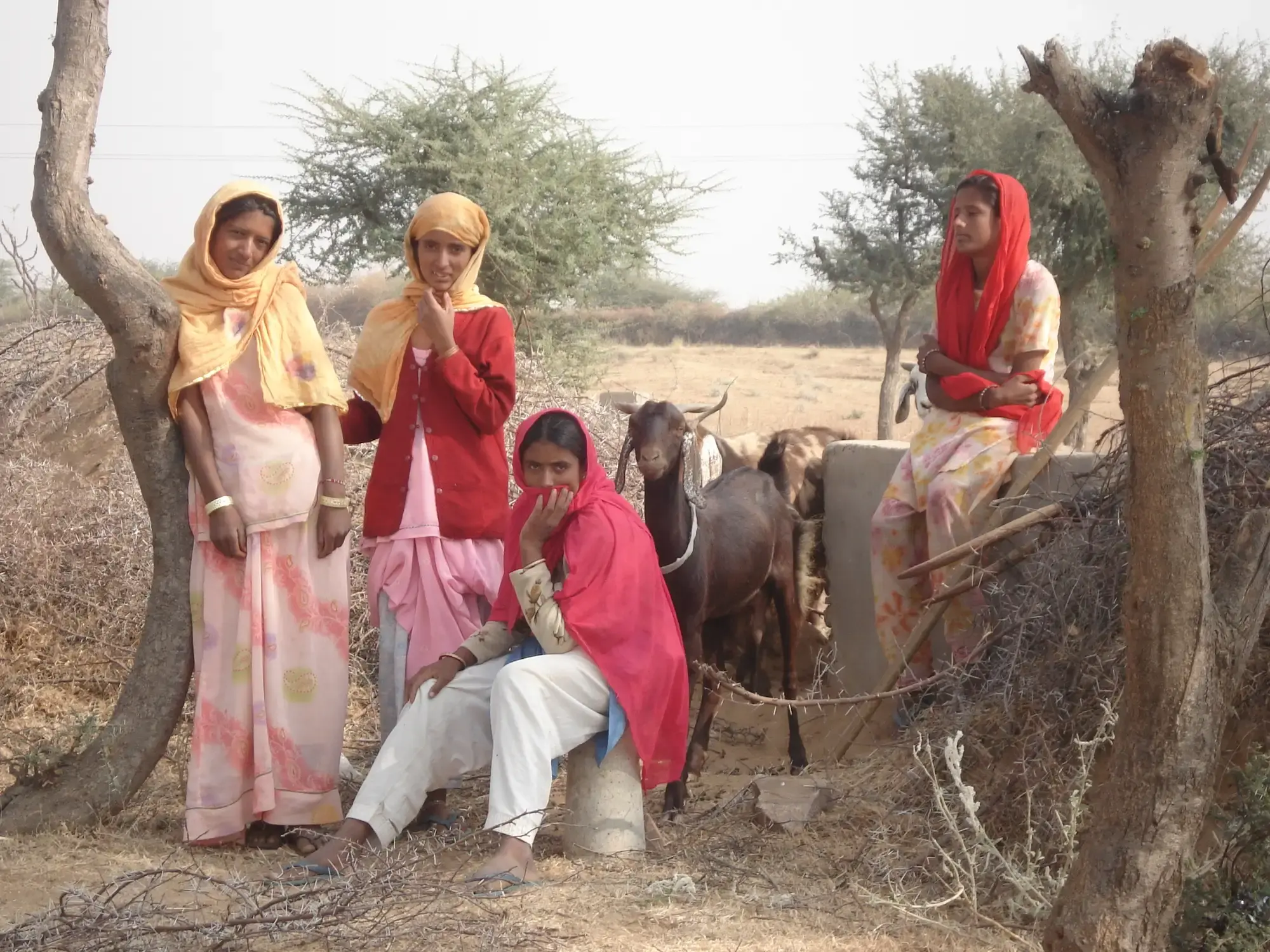 Indien