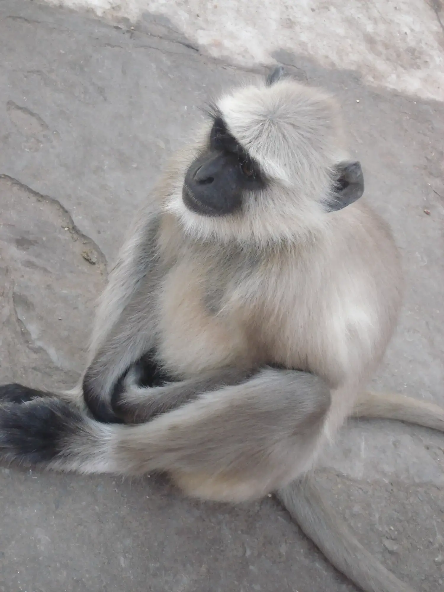 Indien