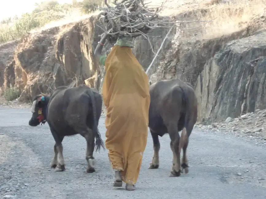 Indien