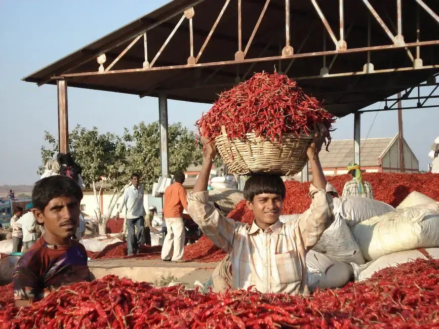 Indien