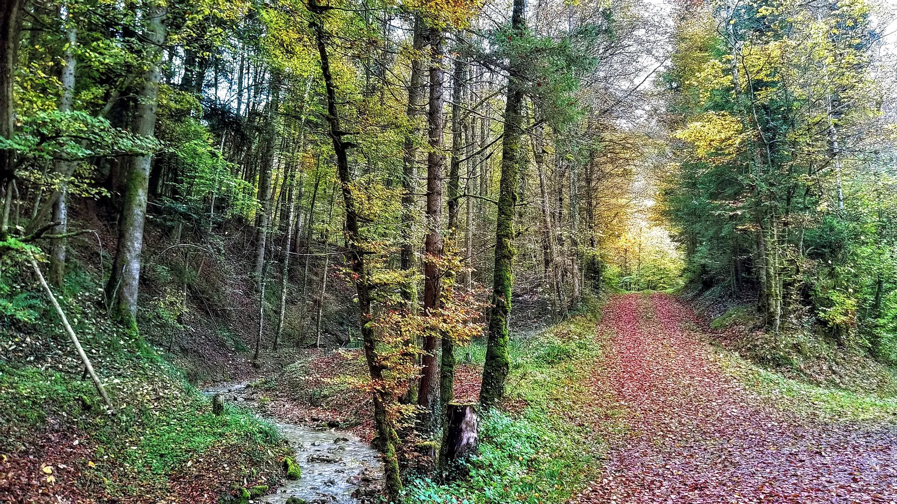 Schweiz