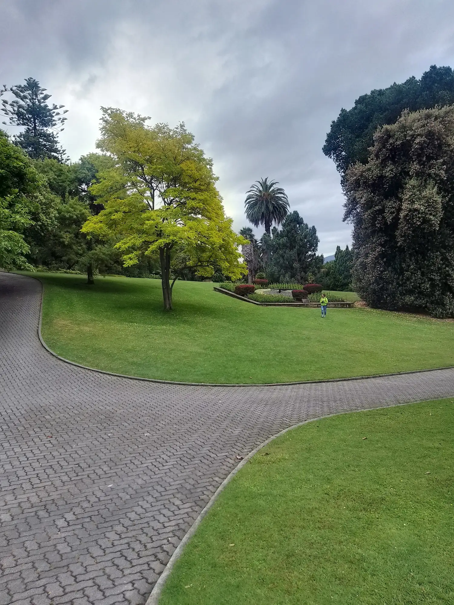 Tasmanien