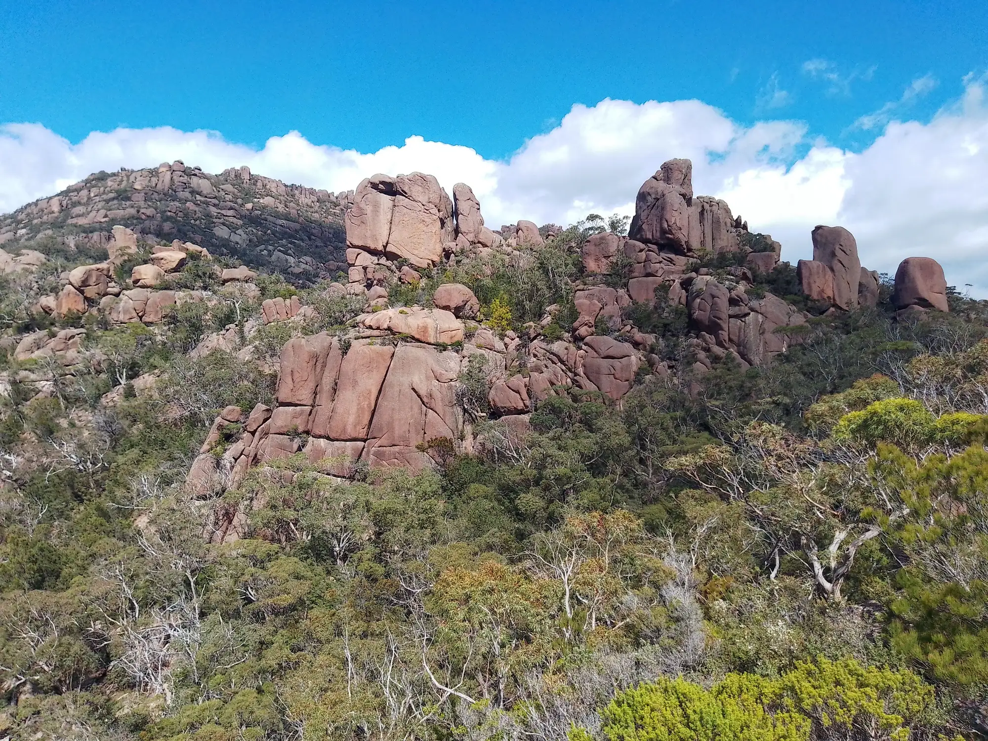 Tasmanien