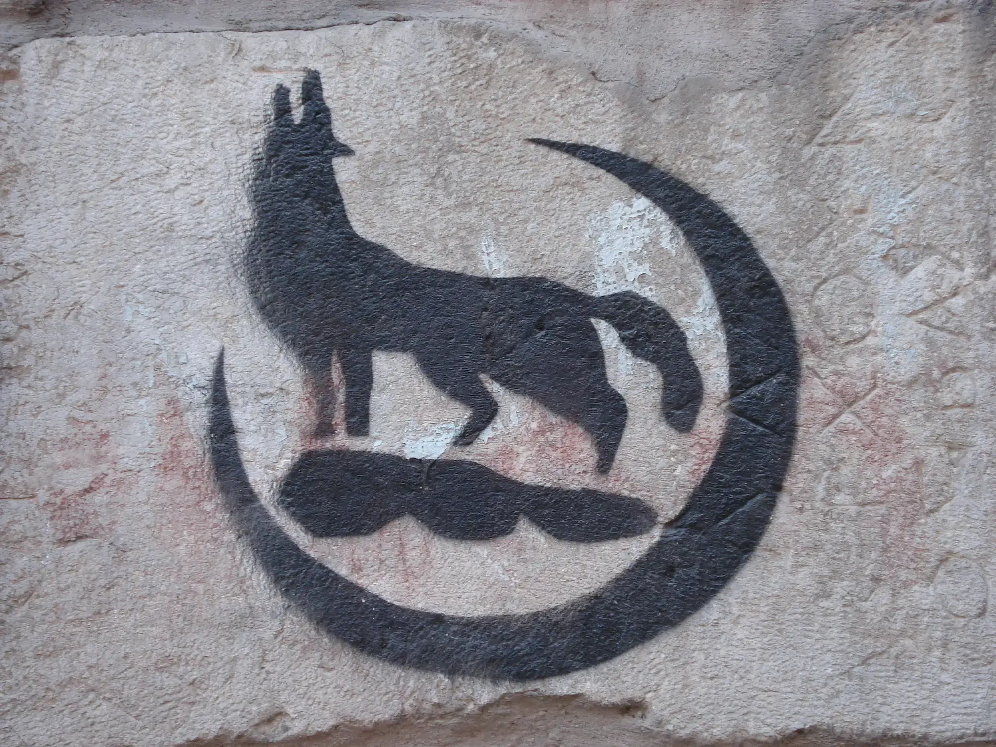 Zürich – Türkei